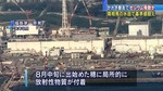 8月中旬に出始めた穂に放射性物質が付着.jpg