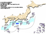 カツオ回遊ルート.jpg