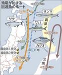 回遊魚ルート.jpg